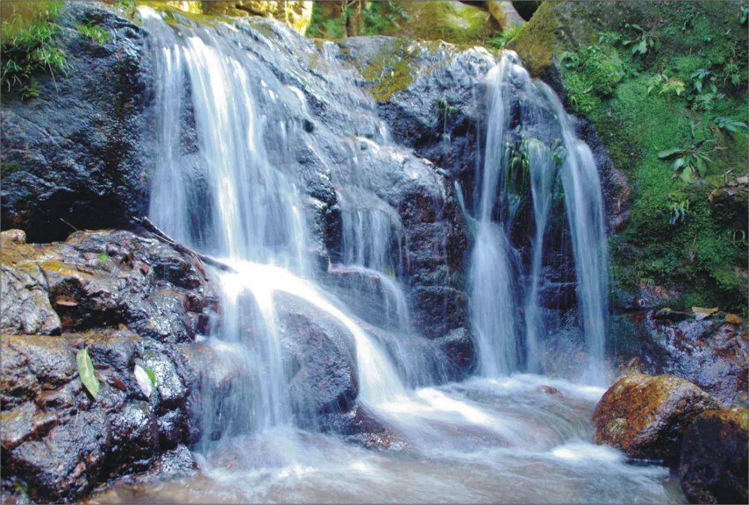 人间烟火红红火火 年货节开启囤健康果汁 团圆聚餐就喝山楂树下